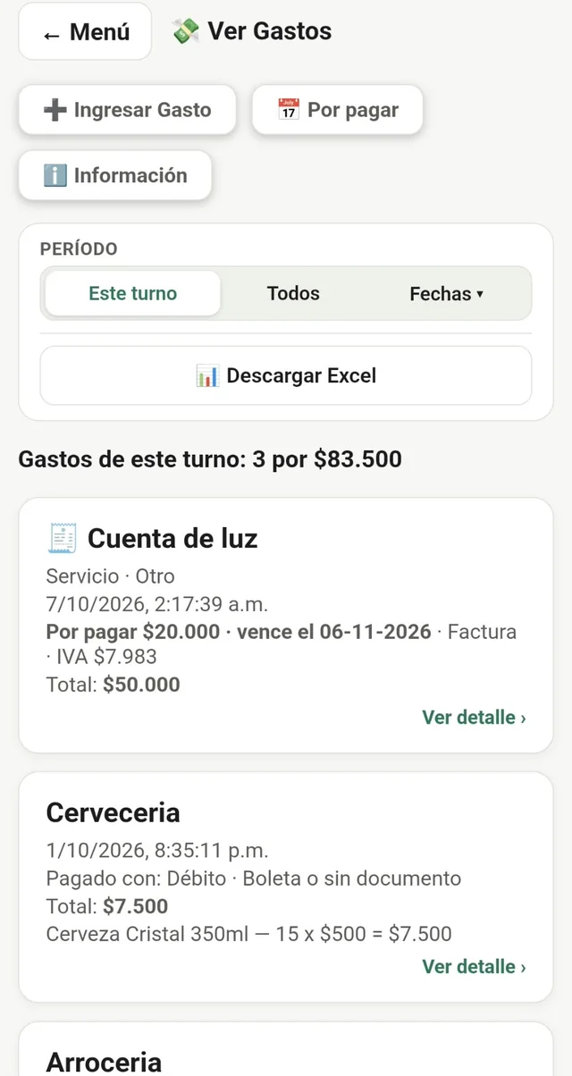 Gastos en Ignami: cuenta de luz por pagar con su vencimiento e IVA, y compras de mercadería